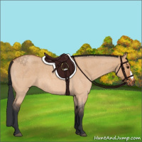Horse Color:Bay Roan Dun 