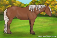 Horse Color:Silver Bay Sabino Rabicano