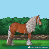 Horse Color:Silver Bay Sabino Rabicano 