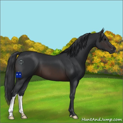 Horse Color:Brown 