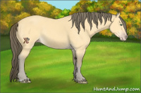 Horse Color:Amber Cream Champagne Rabicano 