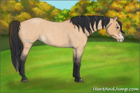 Horse Color:Bay Roan Dun Splash 