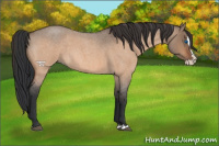 Horse Color:Bay Roan Dun Splash