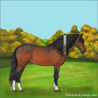 Horse Color:Bay Roan Tobiano 