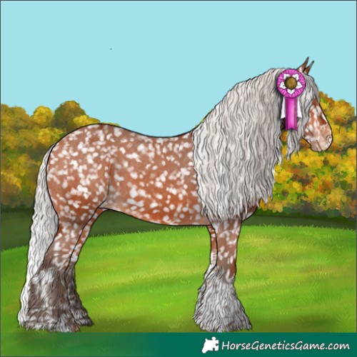 Horse Color:Silver Bay Sabino Tobiano Appaloosa Rabicano 
