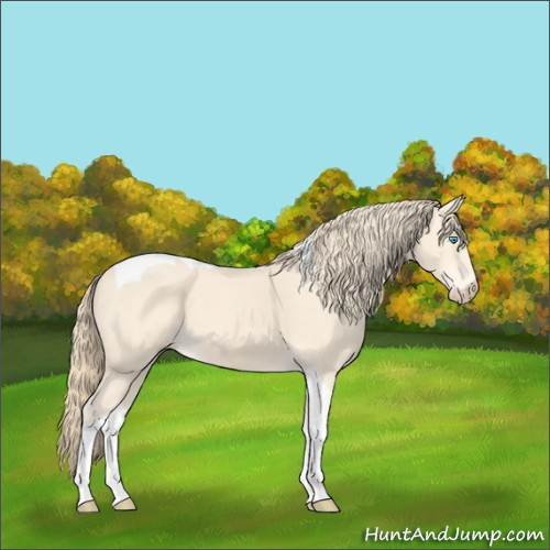Horse Color:Perlino Tobiano 