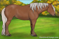 Horse Color:Silver Bay Sabino Rabicano 