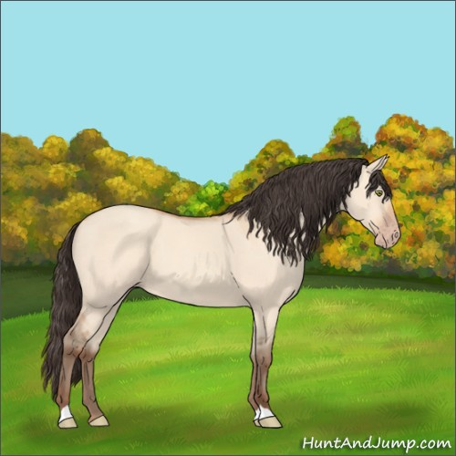 Horse Color:Amber Champagne Dun 