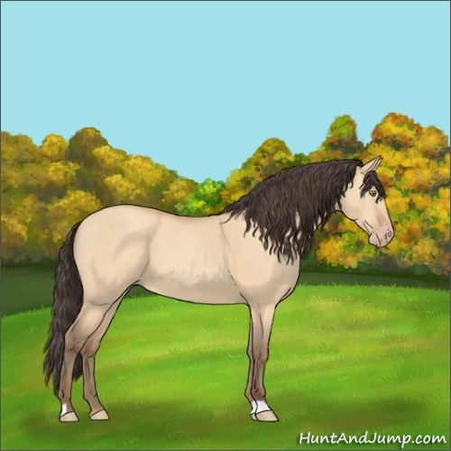 Horse Color:Amber Champagne Dun 