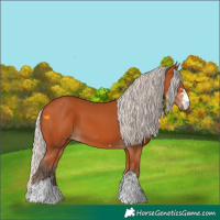 Horse Color:Silver Bay 