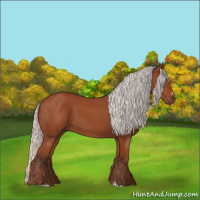 Horse Color:Silver Bay Sabino Rabicano 