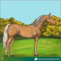 Horse Color:Palomino 