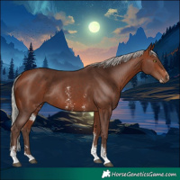 Horse Color:Silver Bay Sabino Rabicano 