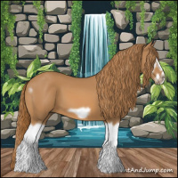 Horse Color:Chestnut Splash Frame 