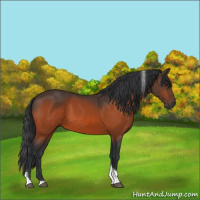 Horse Color:Brown Tobiano 