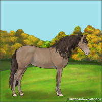 Horse Color:Classic Champagne Rabicano