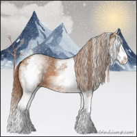 Horse Color:White Spotted Chestnut Splash 