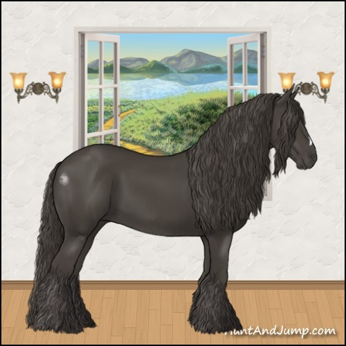 Horse Color:Smoky Black 