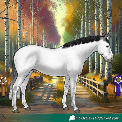 Horse Color:Gray Brown Roan Splash Rabicano 