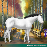 Horse Color:Gray Brown Roan Splash Rabicano 