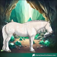 Horse Color:Cremello Sabino  and Cremello Sabino 