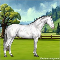 Horse Color:Black Ice Sabino Splash Appaloosa and Silver Black Ice Sabino Splash Appaloosa
