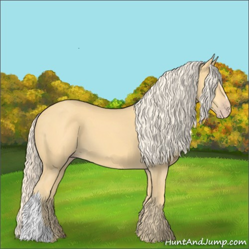 Horse Color:Gold Cream Champagne 
