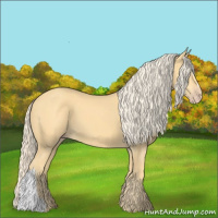 Horse Color:Gold Cream Champagne