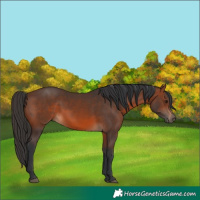 Horse Color:Brown 