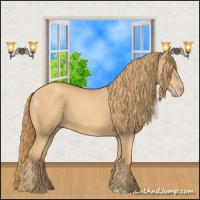 Horse Color:Gold Champagne 