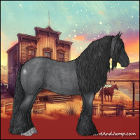 Horse Color:Blue Roan 
