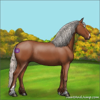 Horse Color:Silver Bay Sabino Rabicano 