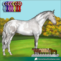 Horse Color:White Spotted Silver Brown Dun Mushroom 