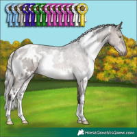 Horse Color:White Spotted Silver Brown Dun Mushroom 