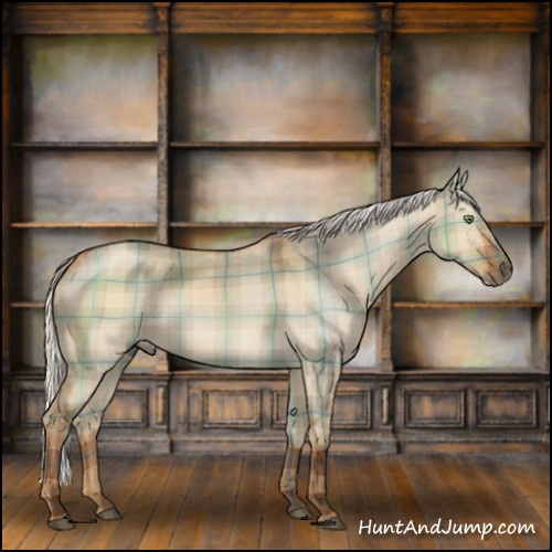 Horse Color:Plaid Silver Bay Roan Dun Sabino Rabicano