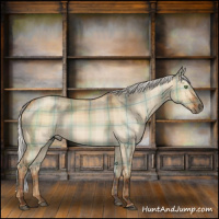 Horse Color:Plaid Silver Bay Roan Dun Sabino Rabicano