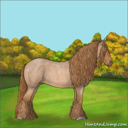 Horse Color:Red Roan 