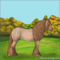Horse Color:Red Roan 