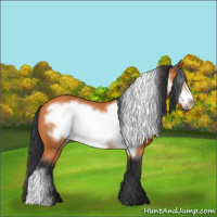 Horse Color:Bay Frame 