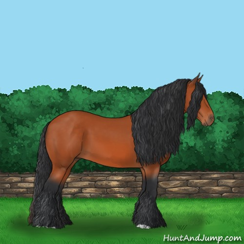 Horse Color:Brown 
