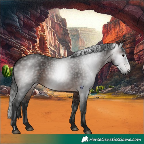 Horse Color:Gray Bay