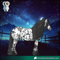 Horse Color:Black Near Leopard 