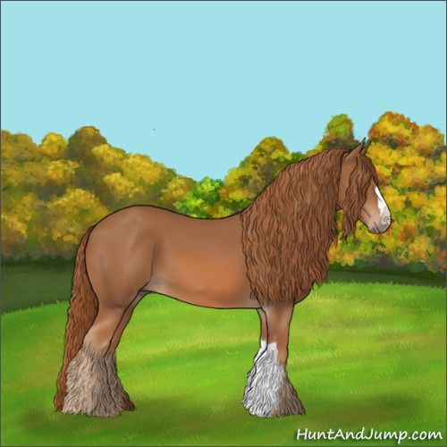 Horse Color:Chestnut 