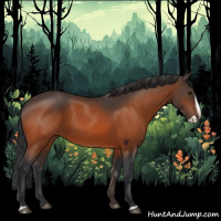 Horse Color:Bay Splash 