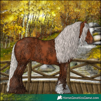 Horse Color:Silver Bay Ice Sabino Rabicano 