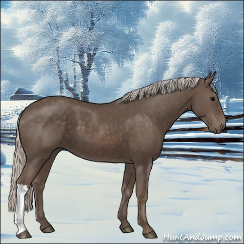 Horse Color:Silver Black 