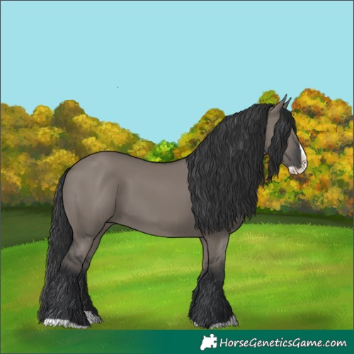 Horse Color:Grullo Splash 
