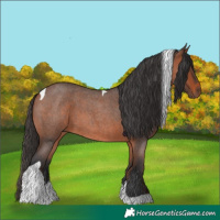 Horse Color:Bay Roan Tobiano 