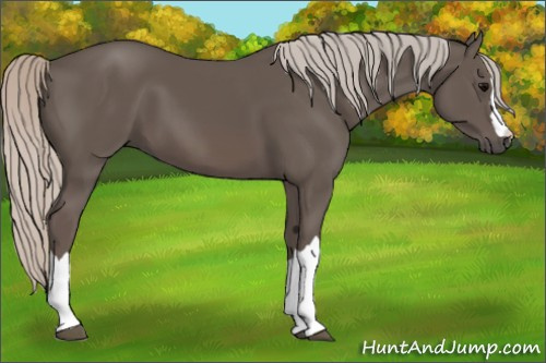 Horse Color:Silver Black 