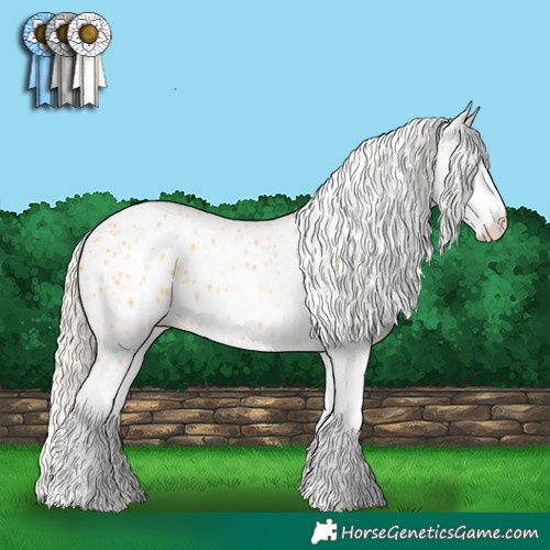 Horse Color:Palomino Leopard and Palomino Splash Leopard